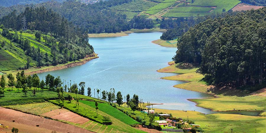 Ooty