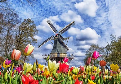 Keukenhof Gardens