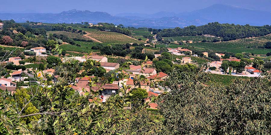 Vineyards of Châteauneuf-du-Pape