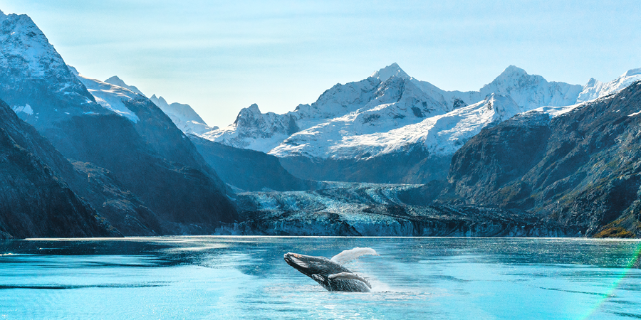 Glacier Bay National Park