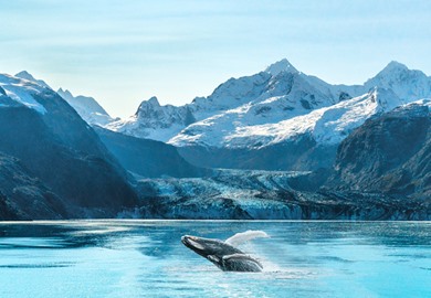 Glacier Bay National Park